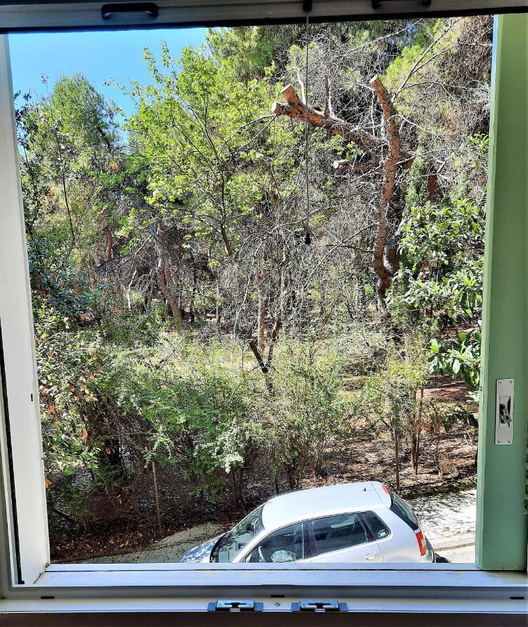 Cozy Apt In Ilisia With Urban Forest View Αθήνα Εξωτερικό φωτογραφία