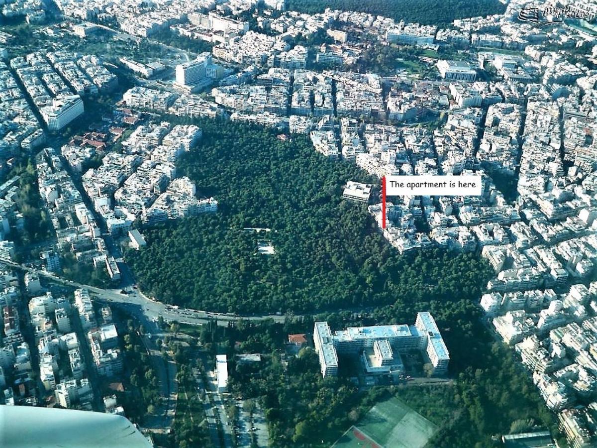 Cozy Apt In Ilisia With Urban Forest View Αθήνα Εξωτερικό φωτογραφία